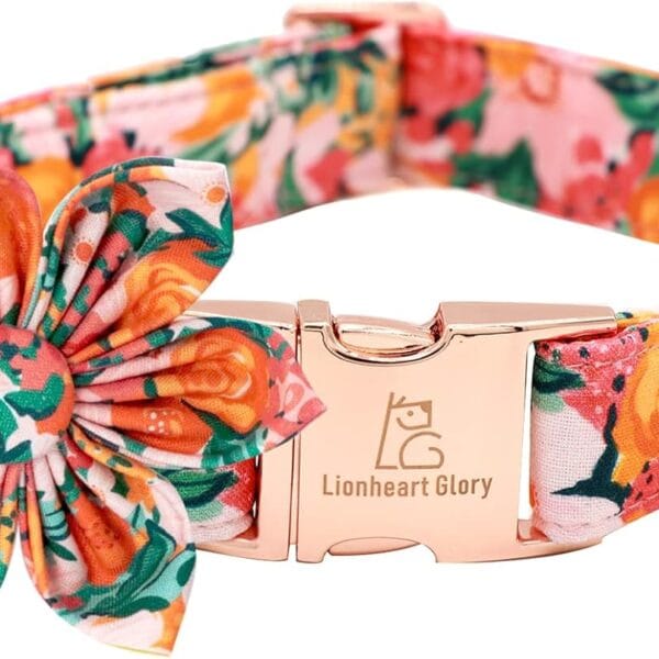 Lionheart Glory Dog Collar With Flower - Cute Floral Pattern Adjustable Pet Collar for Medium Dogs