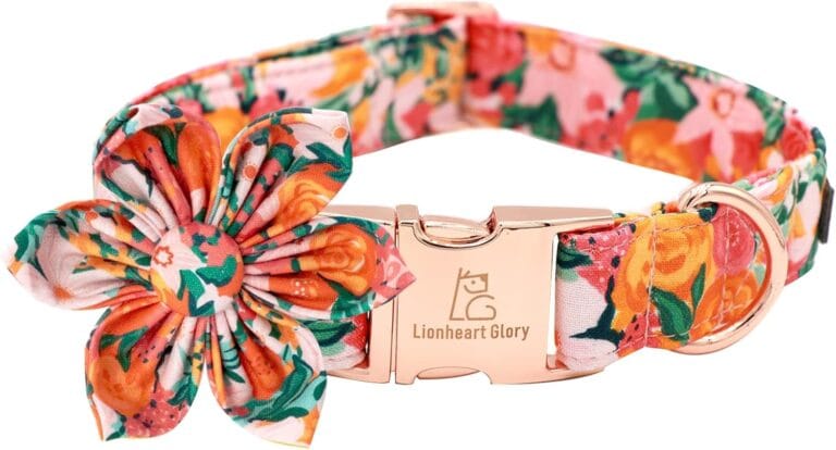 Lionheart Glory Dog Collar With Flower - Cute Floral Pattern Adjustable Pet Collar for Medium Dogs