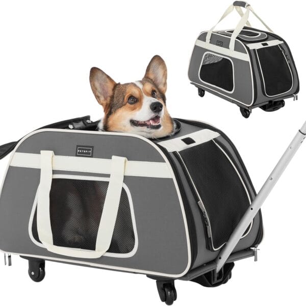 PETSFIT Large Pet Carrier with Wheels Designed for 2 Small Dogs/Multiple Kittens/Medium Dogs with Adjustable Safety Rope & Waterproof Bottom(  )
