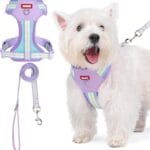 No Pull Dog Harness and Leash Set,Adjustable Dog Vest Harness for Small Medium Large Size Dogs,Breathable and Soft Escape-Proof Puppy Harness with 2 Buckles Purple XS