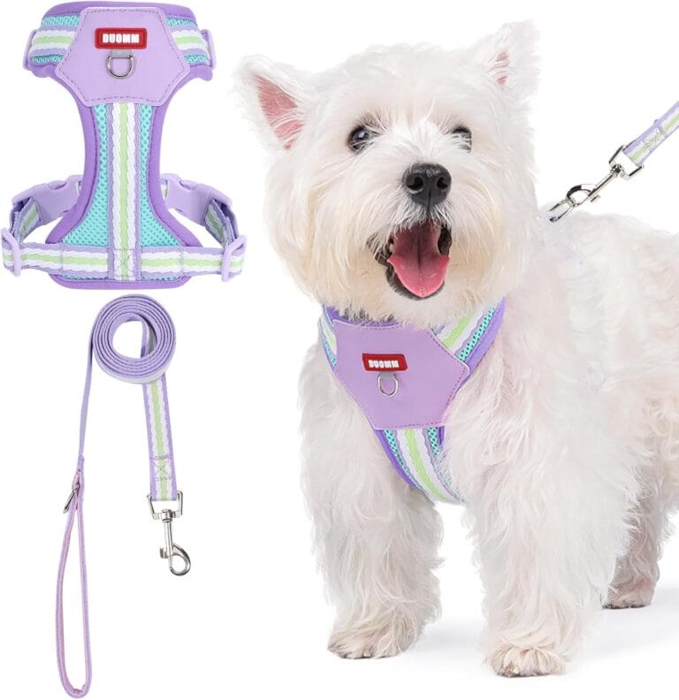 No Pull Dog Harness and Leash Set,Adjustable Dog Vest Harness for Small Medium Large Size Dogs,Breathable and Soft Escape-Proof Puppy Harness with 2 Buckles Purple XS