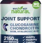 Why Not Natural Glucosamine Chondroitin, MSM, Joint Support Supplements - Knee Pain Joints Health Suppplement