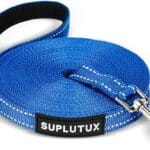 Reflective Dog Leash10FT/16FT/30FT/50FT/100FT Durable Nylon Training Leash with Heavy-Duty Metal Clasp, High Visibility for Night Walking, Perfect for Small, Large Dogs (Blue, 10FT)