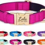 PET ARTIST Colorful Personalized Dog Collars, Custom Dog Collar with Silent Engraved ID Tag, Lightweight Breathable Nylon & Soft Padded, Matching Leash & Poop Bag for Medium Dogs,Rose,M Fit 13-20"