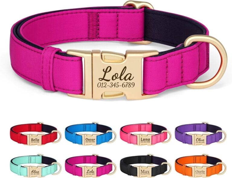 PET ARTIST Colorful Personalized Dog Collars, Custom Dog Collar with Silent Engraved ID Tag, Lightweight Breathable Nylon & Soft Padded, Matching Leash & Poop Bag for Medium Dogs,Rose,M Fit 13-20"