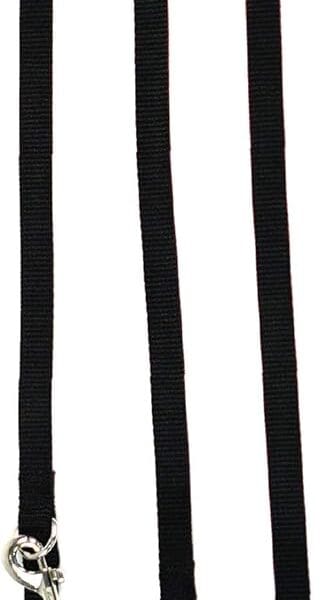 Blue-9 Multi-Function Hands Free Dog Leash, Double Attachment 6 Foot Adjustable Lead for Obedience, Running, and Agility Training, Made in The USA, Black, Small/Medium