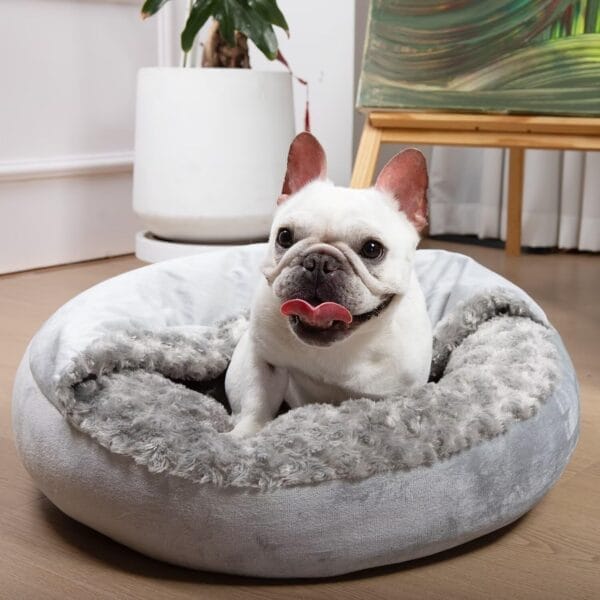 Small Dog Bed with Blanket Removable Cover Cave Washable Cat Pet Bed for Crate Toy Puppy Donut Round Pad Plush Cozy Anti-Slip Bottom Gray 23X23X7 inch