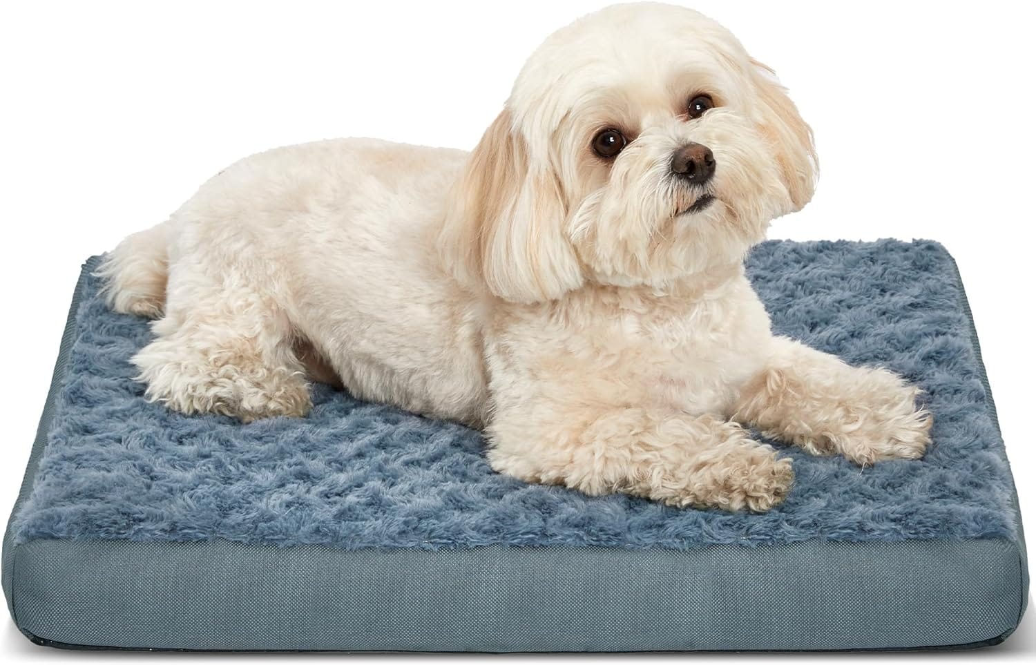 Orthopedic Dog Beds for Crate with Removable Washable Cover Egg-Crate Foam Pet Pad Mat with Anti-Slip Bottom,Waterproof Dog Beds Small Sized20x16 Inch Orthopedic Dog Beds for Crate with Removable Washable Cover Egg-Crate Foam Pet Pad Mat with Anti-Slip Bottom,Waterproof Dog Beds Small Sized20x16 Inch