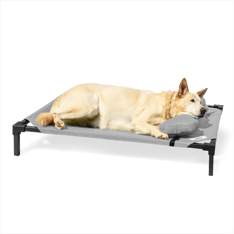 Coolaroo Pro Elevated Dog Bed with HeatShield Fabric  Advanced Cooling Raised Cot for Small & Medium Breeds, Easy-Clean, Low-to-Ground Access, Bonus Bolster Pillow  Glacier Grey