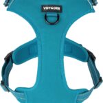 Voyager No Pull Dog Harness for Medium and Large Dogs, Dual Leash Attachments, Adjustable Soft but Strong Pet Harness with 3M Reflective Technology, Turquoise Nylon, XS (Chest: 13 - 16")