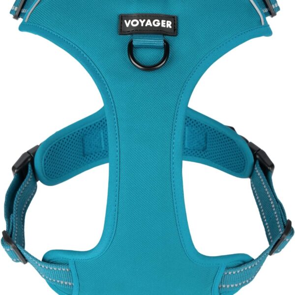 Voyager No Pull Dog Harness for Medium and Large Dogs, Dual Leash Attachments, Adjustable Soft but Strong Pet Harness with 3M Reflective Technology, Turquoise Nylon, XS (Chest: 13 - 16")