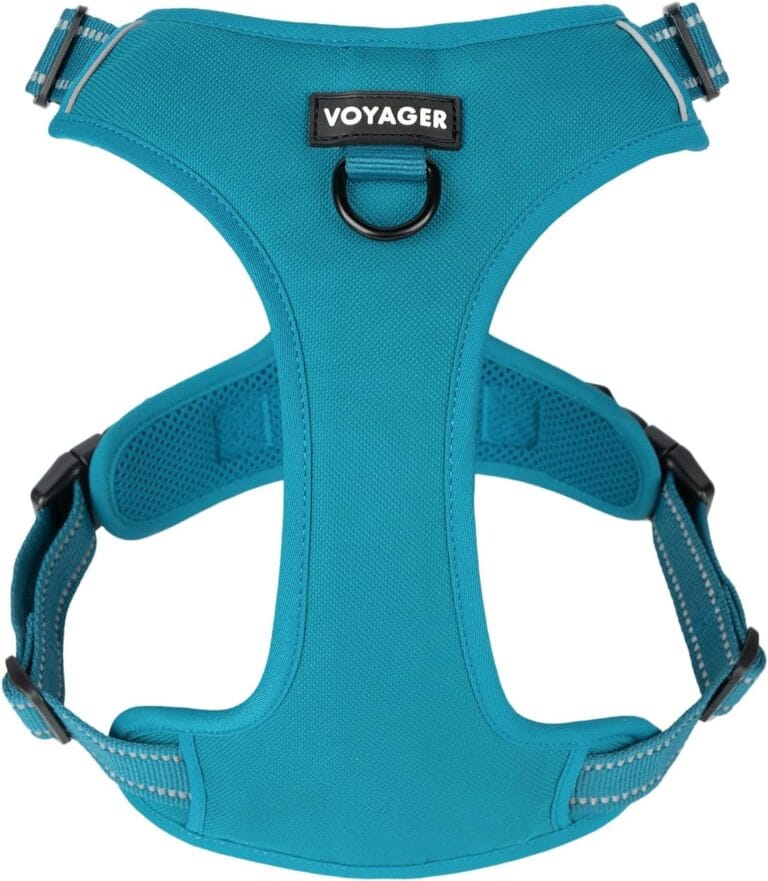 Voyager No Pull Dog Harness for Medium and Large Dogs, Dual Leash Attachments, Adjustable Soft but Strong Pet Harness with 3M Reflective Technology, Turquoise Nylon, XS (Chest: 13 - 16")