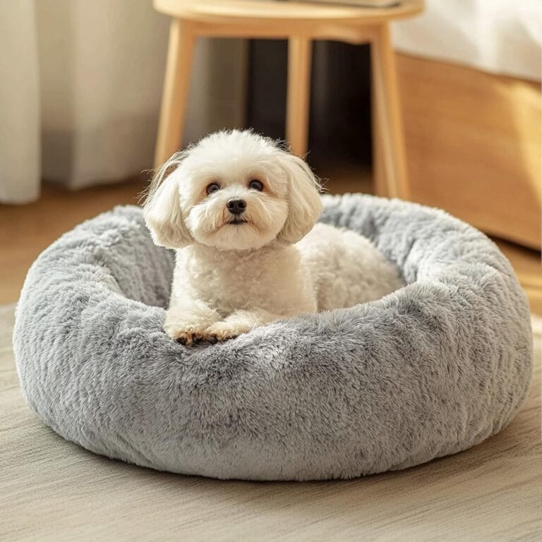 JOLLYVOGUE Dog & Cat Bed, Calming Anti-Anxiety Pet Bed for Small Dogs, Fluffy Donut Cushion for Small and Medium Pets (23")