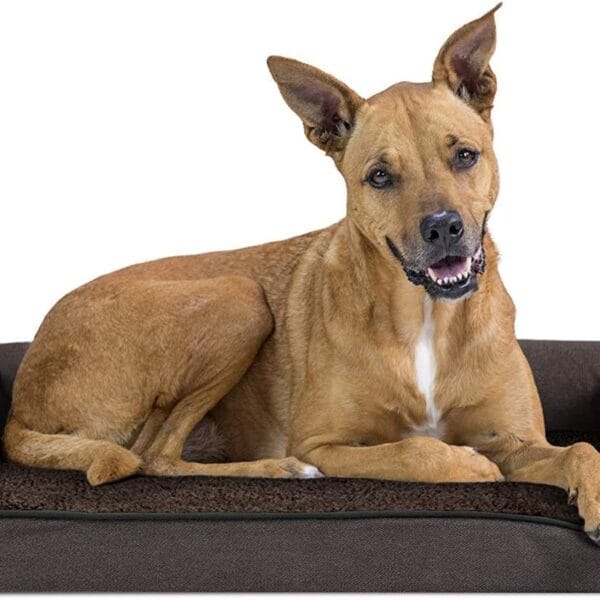 Furhaven Orthopedic Dog Bed for Large/Medium Dogs w/ Removable Bolsters & Washable Cover, For Dogs Up to 55 lbs - Sherpa & Chenille Sofa - Coffee, Large