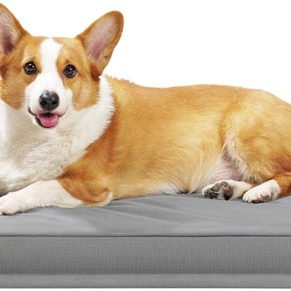 Indestructible Dog Beds for Large Dogs, Orthopedic Memory Foam Pet Bed with Oxford Fabric, Waterproof Outdoor Dog Bed for Kennel with Washable Cover and Non-Slip Bottom, 36''x27'', Grey