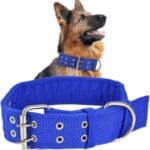 Military Adjustable 1.5'' Wide D Ring & Buckle 2-Rows Dog Collar - Green Nylon Tactical
