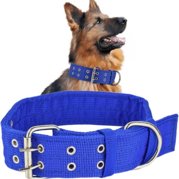 Military Adjustable 1.5'' Wide D Ring & Buckle 2-Rows Dog Collar - Green Nylon Tactical