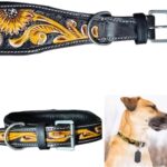 Majestic Ally Genine Leather Dog Collar with Adjustable, Padded Fit for Walking, Hiking, and Running, Designer Western Wear for Puppies, Fancy Customized Colors (Black - Yellow, Medium)