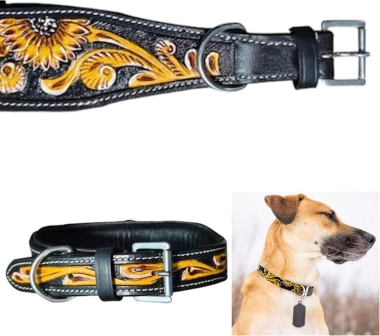 Majestic Ally Genine Leather Dog Collar with Adjustable, Padded Fit for Walking, Hiking, and Running, Designer Western Wear for Puppies, Fancy Customized Colors (Black - Yellow, Medium)
