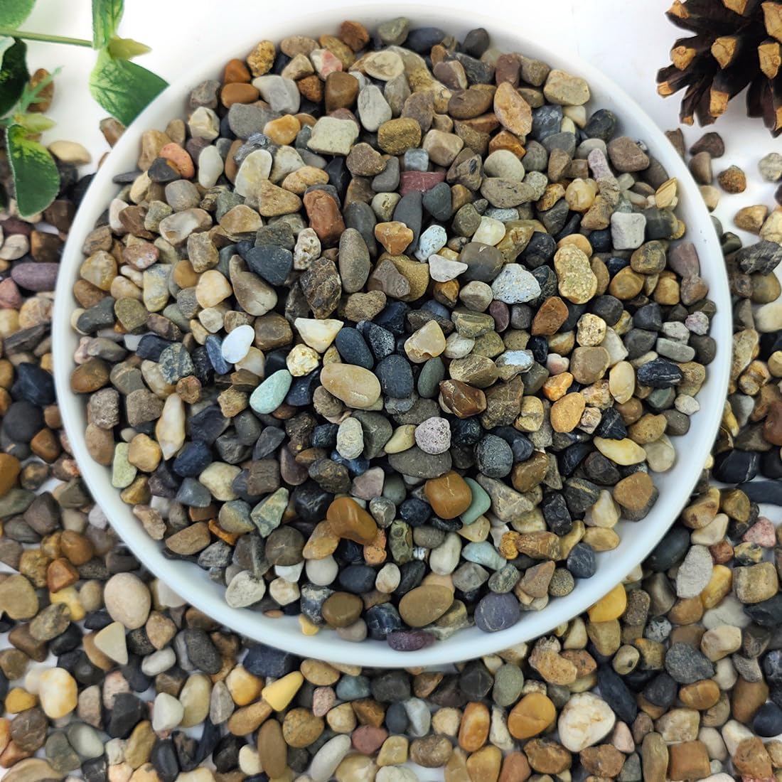 5lbs Aquarium Gravel, 1/4" Fish Tank Gravel Natural River Rocks Succulent Cactus Pea Gravel for Plants, Pebbles for Gardening, Flower Pots, Vase Fillers, Indoor Water Fountains, Landscaping 5lbs Aquarium Gravel, 1/4" Fish Tank Gravel Natural River Rocks Succulent Cactus Pea Gravel for Plants, Pebbles for Gardening, Flower Pots, Vase Fillers, Indoor Water Fountains, Landscaping