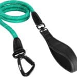 PetBonus Rope Dog Leash, 5 FT Heavy Duty Pet Nylon Leash with Auto Locking Aviation Aluminum Carabiner, Comfortable Padded Handle, Reflective Walking Training Lead for Medium Large Breeds (Turquoise)