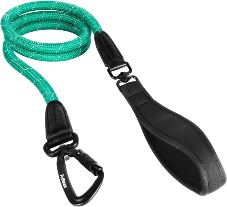 PetBonus Rope Dog Leash, 5 FT Heavy Duty Pet Nylon Leash with Auto Locking Aviation Aluminum Carabiner, Comfortable Padded Handle, Reflective Walking Training Lead for Medium Large Breeds (Turquoise)