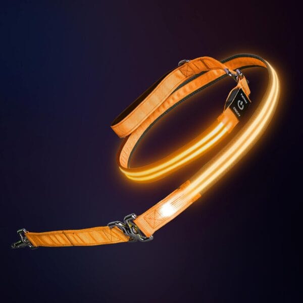 PetIsay Night Walking LED Dog Leash - 6FT Reflective & Waterproof Light Up Safety Leashes for Dogs - USB Rechargeable, Orange