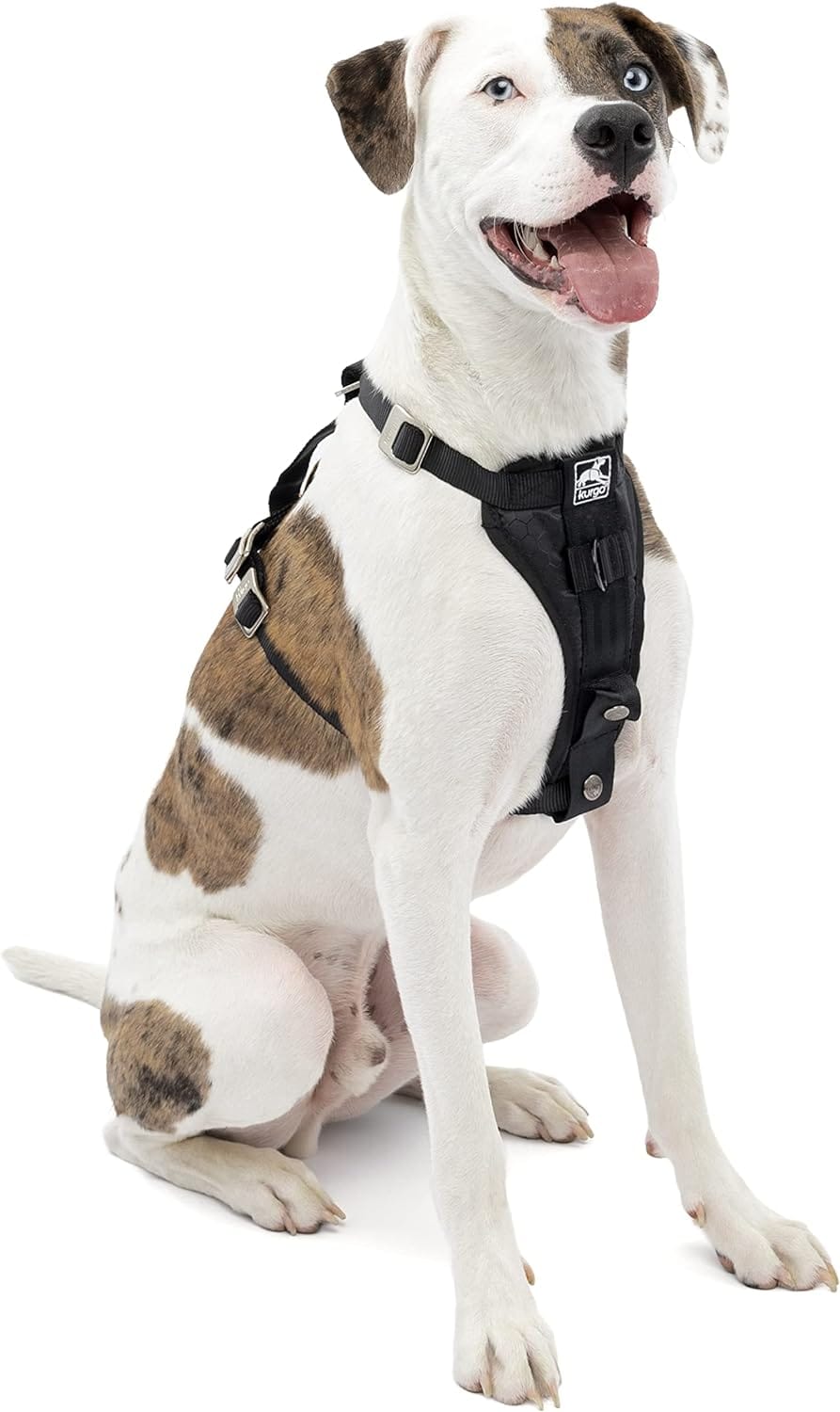 Kurgo Enhanced Strength Tru-Fit Dog Car Harness - Pet Travel Safety Harness - Crash Test Certified Fit - Five Point Adjustment - Secure Buckle - Padded Chest - Black - Medium Kurgo Enhanced Strength Tru-Fit Dog Car Harness - Pet Travel Safety Harness - Crash Test Certified Fit - Five Point Adjustment - Secure Buckle - Padded Chest - Black - Medium