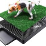 Dog Grass Pad with Tray, Artificial Turf Dog Grass Pee Pad Potty Training for Indoor Outdoor Use, Washable Replacement Potty Mat for Puppy and Small Pet, 20 inch x 25 inch