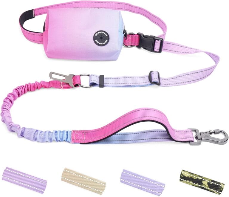 Hands Free Dual Handle Retractable Bungee Leash with Reflective Trim, Adjustable Waist Belt for Dog Walking, Running, Hiking - Durable Nylon Leash for Medium Large Dogs, Pink