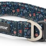 Winchester Printed Designer Dog Collar, Botanical Garden, S