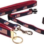 Preston Ribbons Dog Collar and Leash Set, American Flag, Small Dogs, Free Matching Key Ring (X-Small, 3/4 Inch Width)