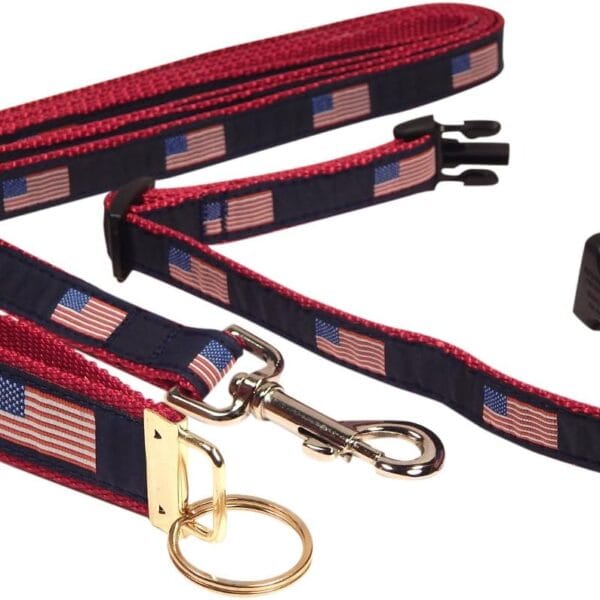 Preston Ribbons Dog Collar and Leash Set, American Flag, Small Dogs, Free Matching Key Ring (X-Small, 3/4 Inch Width)