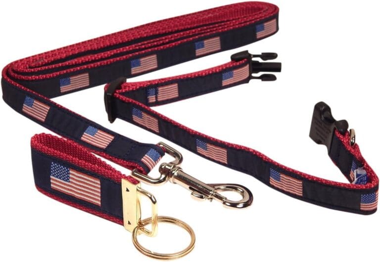 Preston Ribbons Dog Collar and Leash Set, American Flag, Small Dogs, Free Matching Key Ring (X-Small, 3/4 Inch Width)