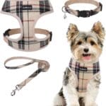 SCENEREAL No Pull Small Dog Harness Collar and Leash Set, Soft Mesh Step in Plaid Puppy Harnesses for Fall Winter, No Chock Adjustable Pet Vest for Outdoor Walking Training and Running, Beige S