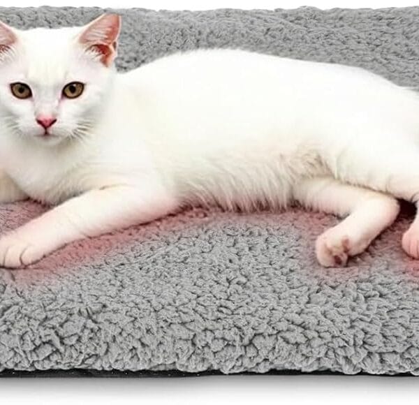 Self Warming Cat Bed Self Heating Cat & Dog Pad - Waterproof Heated Thermal Mat, Non-Slip, Washable for Senior Pets, Kittens, Dogs, Indoor/Outdoor Use, Non-Electric (Grey, 24" X 18")