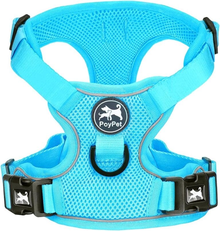 PoyPet Reflective Soft Breathable Mesh Dog Harness No Choke Double Padded Vest Adjustable(Light Blue,M)