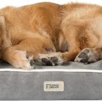 Friends Forever X-Large Dog Bed, Orthopedic Dog Sofa Memory Foam Mattress, Calming Dog Couch Bed, Wall Rim Pillow, Water Resistant Liner, Washable Cover, Non-Slip Bottom, Chester, X-Large Grey
