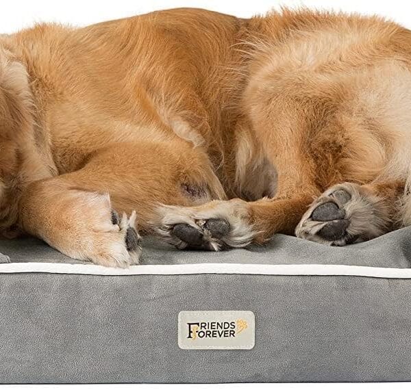 Friends Forever X-Large Dog Bed, Orthopedic Dog Sofa Memory Foam Mattress, Calming Dog Couch Bed, Wall Rim Pillow, Water Resistant Liner, Washable Cover, Non-Slip Bottom, Chester, X-Large Grey