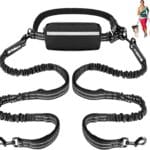 Philorn Hands Free Dog Leash for 2 Dogs, Adjustable Waist Leash for Medium Large Dogs Walking, Running, Jogging, Hiking, Dual Handles and Durable Bungee