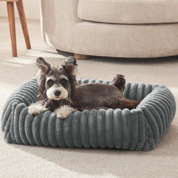 FURTIME Dog Bed for Small Dogs, Washable Orthopedic Dog Bed with Removable Cover, Rectangle Soft Calming Sleeping Puppy Bed Durable Pet Cuddler with Anti-Slip Bottom, Grey, S (20"x19"x6")