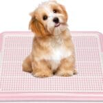 Dog Pee Pad Holder, Puppy Potty Training Tray 22.5X16.5 for Small Dogs (Pink)