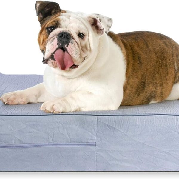 5.5-inch Thick High Grade Orthopedic Memory Foam Dog Bed With Pillow and Easy to Wash Removable Cover with Anti-Slip Bottom. Free Waterproof Liner Included - for Large Breed Dogs - Grey