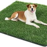 Dog Grass Pad,50.1x30.5In Fake Grass for Dogs,Artificial Grass Pee Pad for Puppies Potty Training Indoor Outdoor