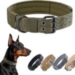 EXCELLENT ELITE SPANKER 1.5" Width Military Dog Collar Adjustable Metal D Ring & Buckle Working Dog Collar for Medium Large Dogs(Ranger Green-L)