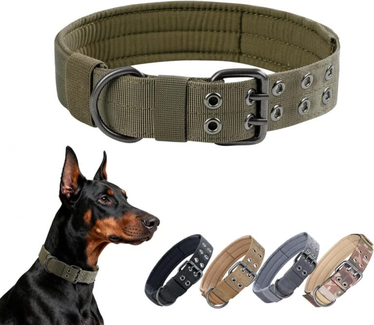 EXCELLENT ELITE SPANKER 1.5" Width Military Dog Collar Adjustable Metal D Ring & Buckle Working Dog Collar for Medium Large Dogs(Ranger Green-L)