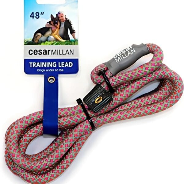 Cesar Millan Slip Lead Leash - 2-in-1 Slip Collar Dog Training Lead & Collar | Heavy Duty Durable Weatherproof Rope Leash, No Pull Training | Length 4ft Diameter 4/10(Regular, Pink/Grey)