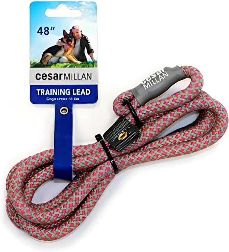 Cesar Millan Slip Lead Leash - 2-in-1 Slip Collar Dog Training Lead & Collar | Heavy Duty Durable Weatherproof Rope Leash, No Pull Training | Length 4ft Diameter 4/10(Regular, Pink/Grey)