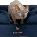 NOAH & PAW Small Dog Bed, 20x15x8 Inch, Cat Bed for Indoor Cats, Orthopedic Eggshell Memory Foam Infused with Cooling Gel, Waterproof Inner Cover Machine Washable (Denim Collection)