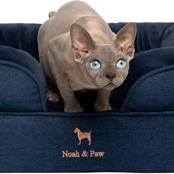 NOAH & PAW Small Dog Bed, 20x15x8 Inch, Cat Bed for Indoor Cats, Orthopedic Eggshell Memory Foam Infused with Cooling Gel, Waterproof Inner Cover Machine Washable (Denim Collection)